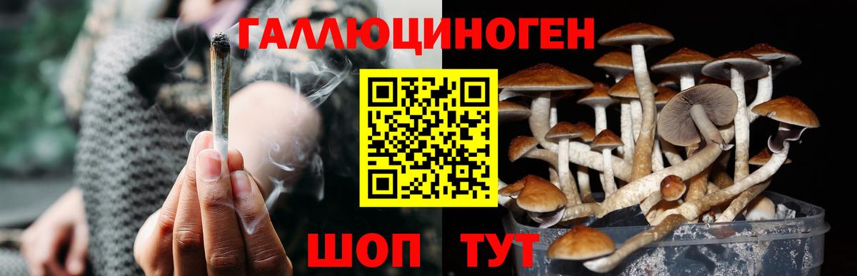Великие Луки  Галлюциногенные грибы мухоморы  Вход с VPN 
